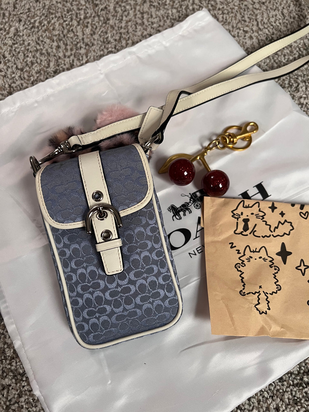 Coach Rare Blue Camera Bag